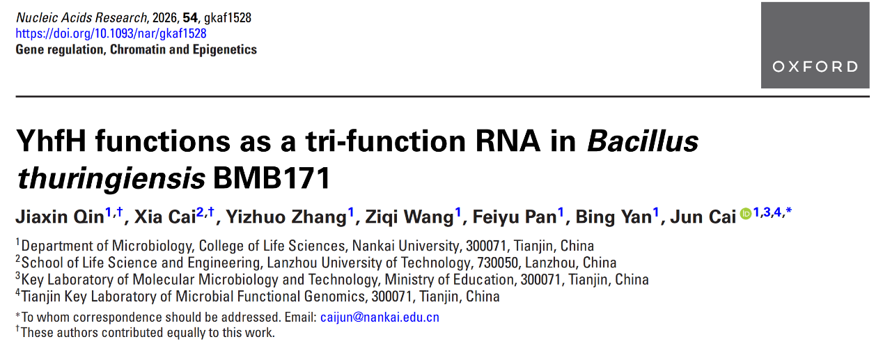 我院蔡霞副教授联合南开大学团队在《Nucleic Acids Research》发表重要研究成果