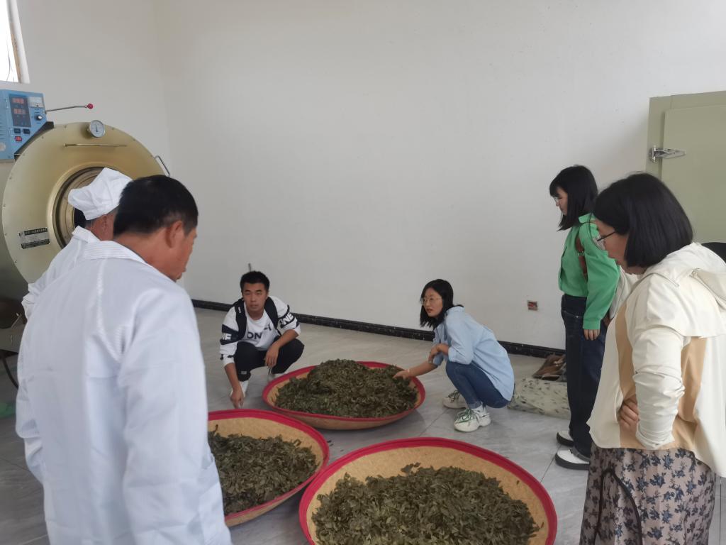 生命科学与工程学院师生赴甘肃茂群天运文冠果公司参观学习