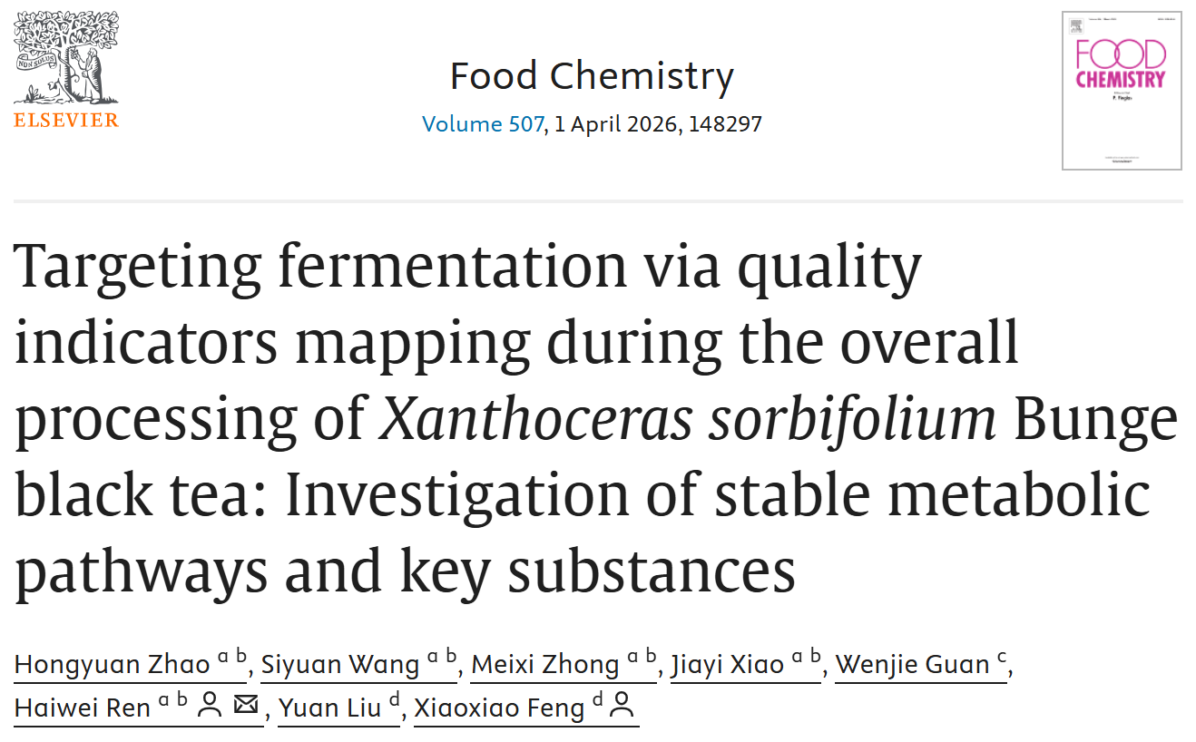 兰州理工大学团队在文冠果红茶加工品质研究方面取得新进展